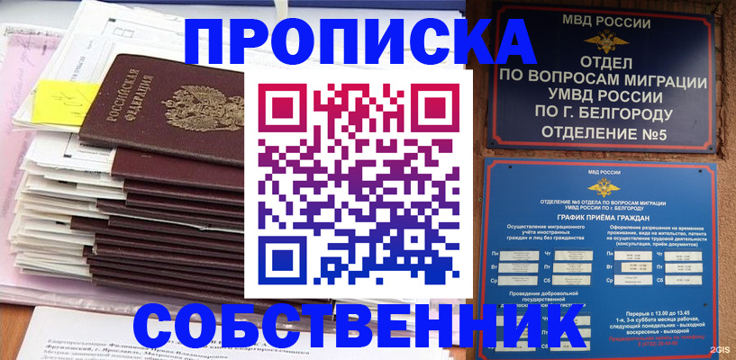 прописка законно в Козловке